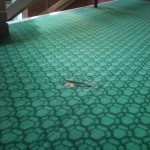The Beck Theatre carpet repair